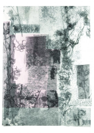 Herbārium I | litografia, sitodruk | 112 x 76 cm | 2016